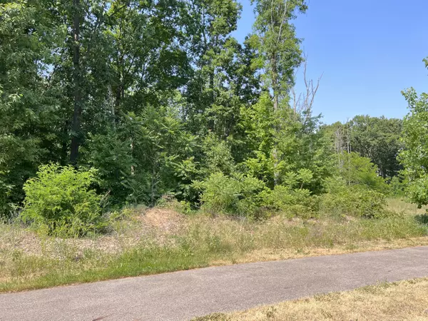 Mattawan, MI 49071,8532 Brighten Trail