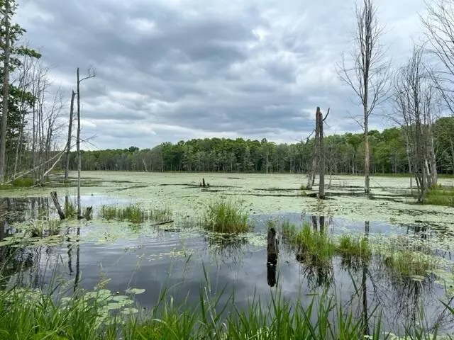 Stanwood, MI 49346,V/L 140th Avenue