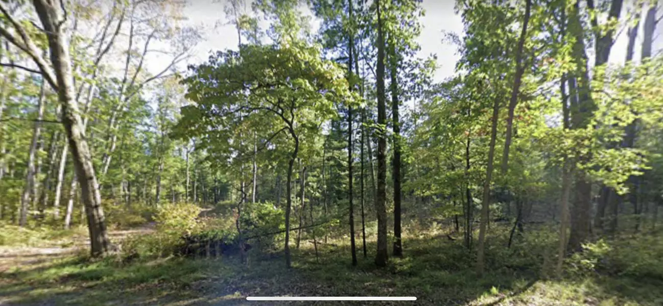 0 Silvercreek Road Parcel #6, Whitehall, MI 49461