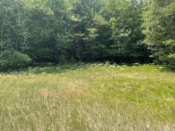 V/L Cayla Lane lot#32, Whitehall, MI 49461