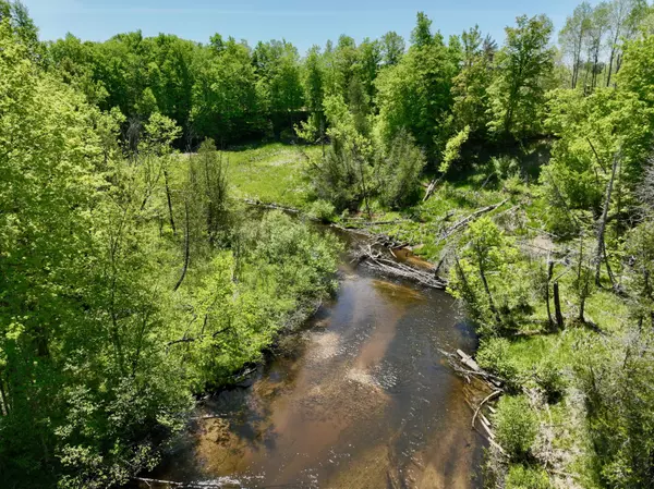 Kaleva, MI 49645,00 Horseshoe Creek Road