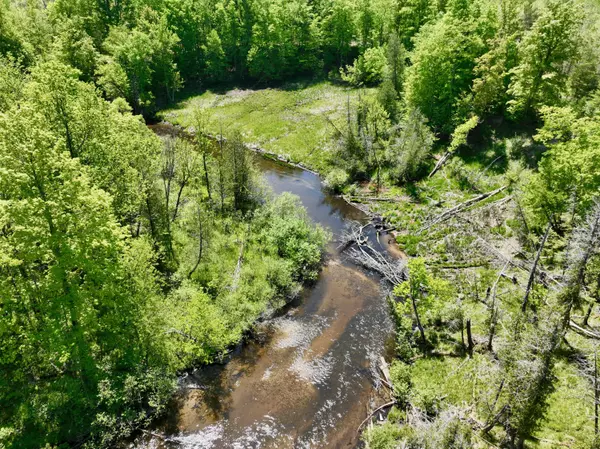 Kaleva, MI 49645,00 Horseshoe Creek Road