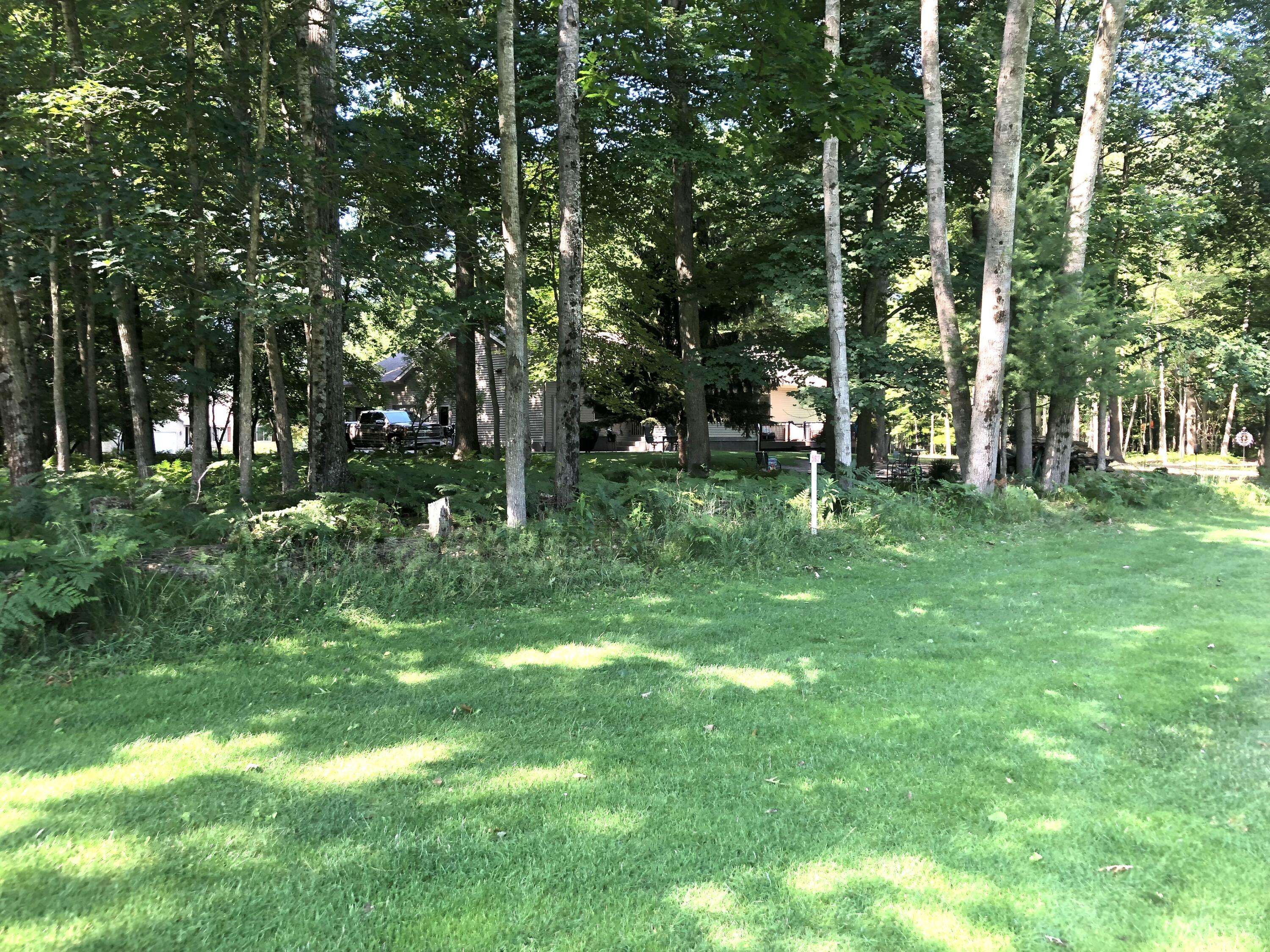 9448 Clubhouse Drive West, Canadian Lakes, MI 49346