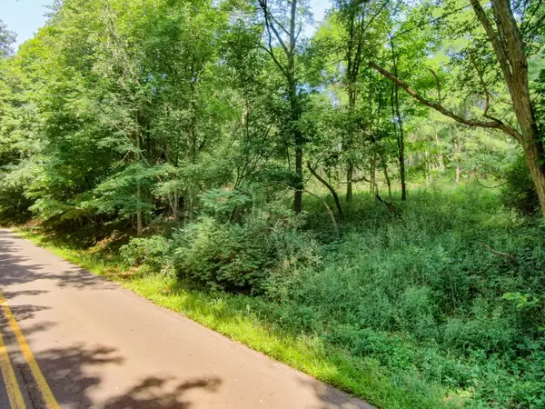 Paw Paw, MI 49079,V/L 56th Avenue