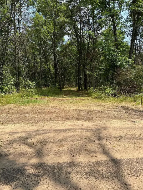 Idlewild, MI 49642,VL 00 Minneapolis