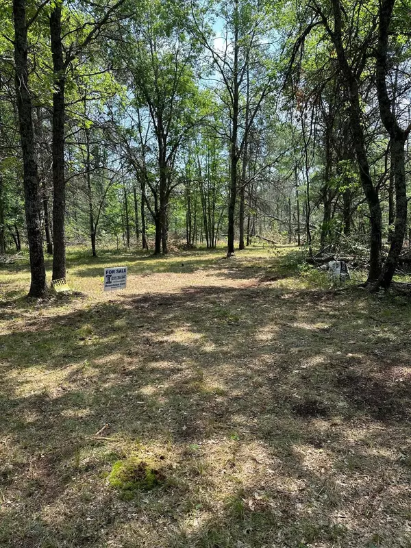 Idlewild, MI 49642,VL 00 Minneapolis