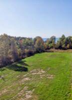 7352 Beach View Drive, South Haven, MI 49090