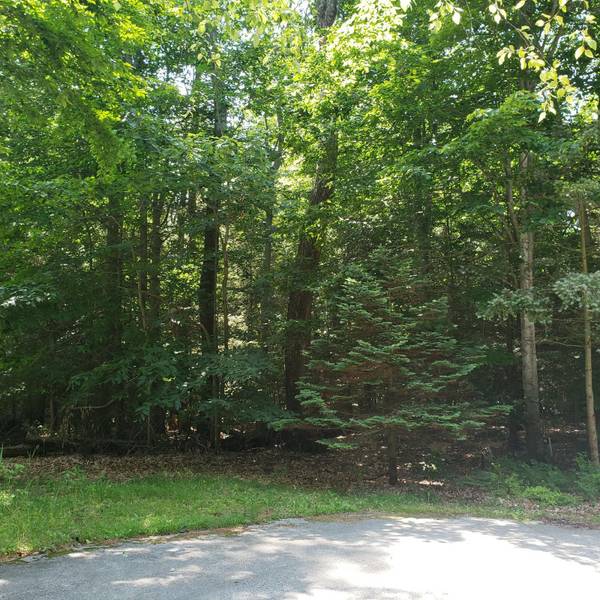 Whitehall, MI 49461,0 Woodtrail Court #Lot 14