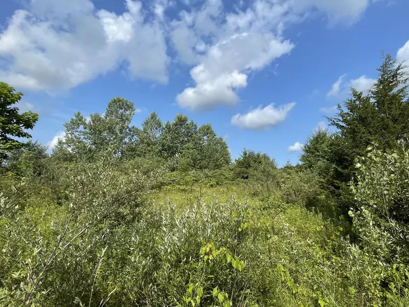 VL 76th Street, Covert, MI 49043