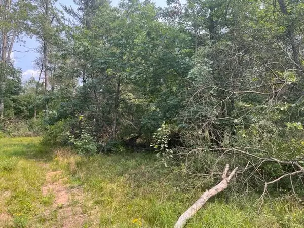 Idlewild, MI 49642,Block 4 Spice Bush Trail