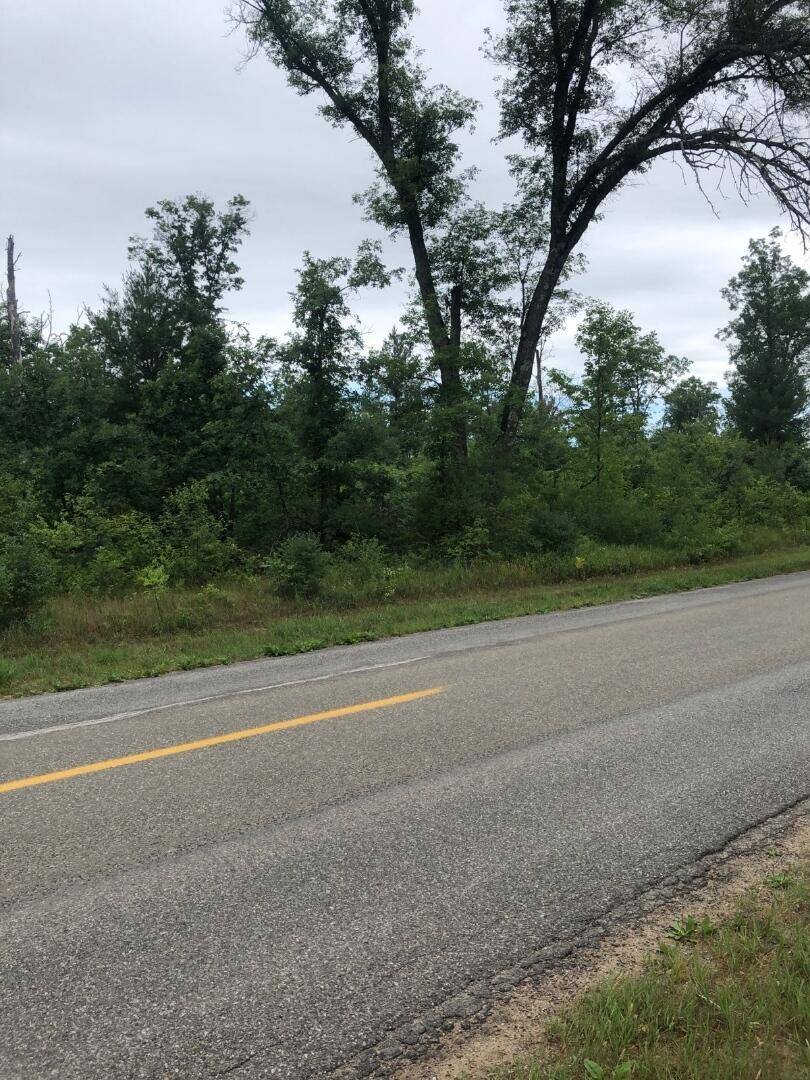 Idlewild, MI 49642,VL S Forman Road