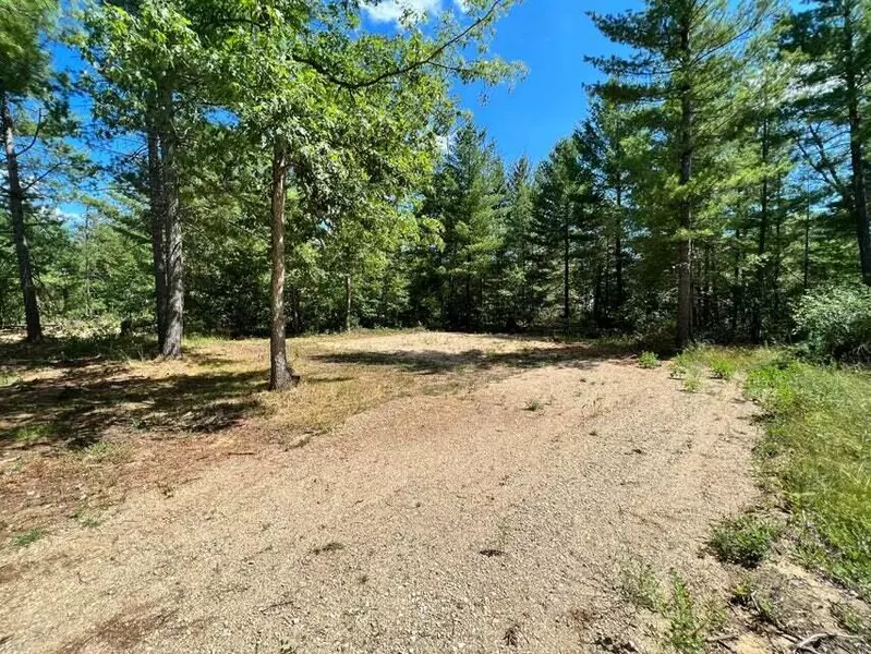 V/L Cook, Idlewild, MI 49642