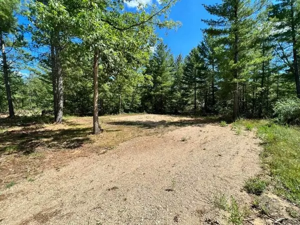 Idlewild, MI 49642,V/L Cook