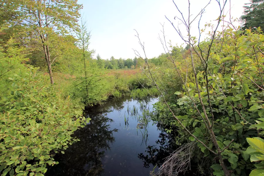 Baseline Road, White Cloud, MI 49349