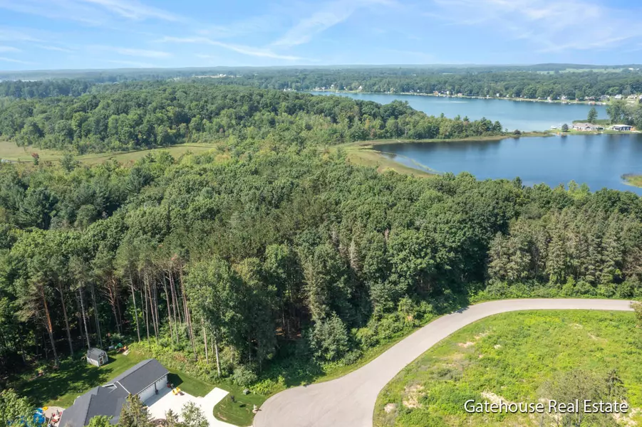 17157 Spruce Cove Trail, Gowen, MI 49326