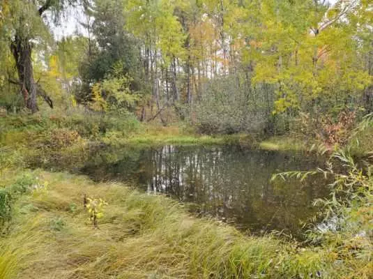 Mesick, MI 49668,1952 W 16 Road
