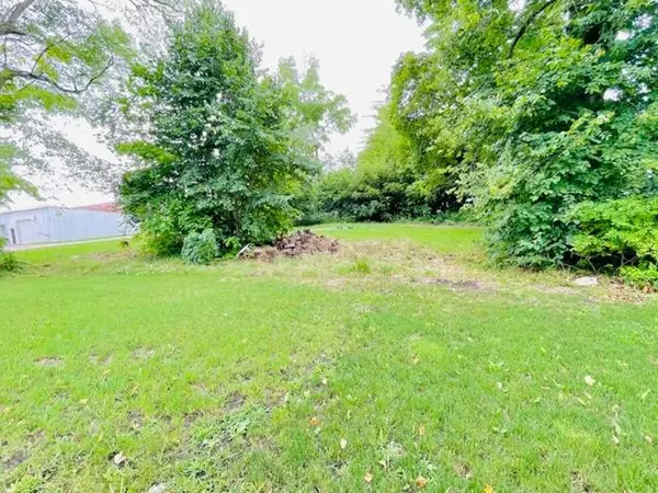 Lake Odessa, MI 48849,Lot 1 Ionia Street