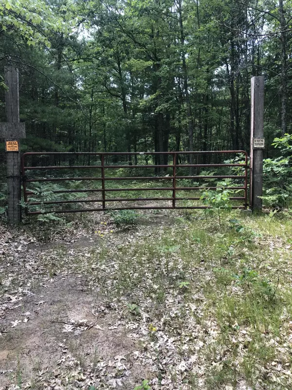 Free Soil, MI 49411,N Tuttle Rd Road