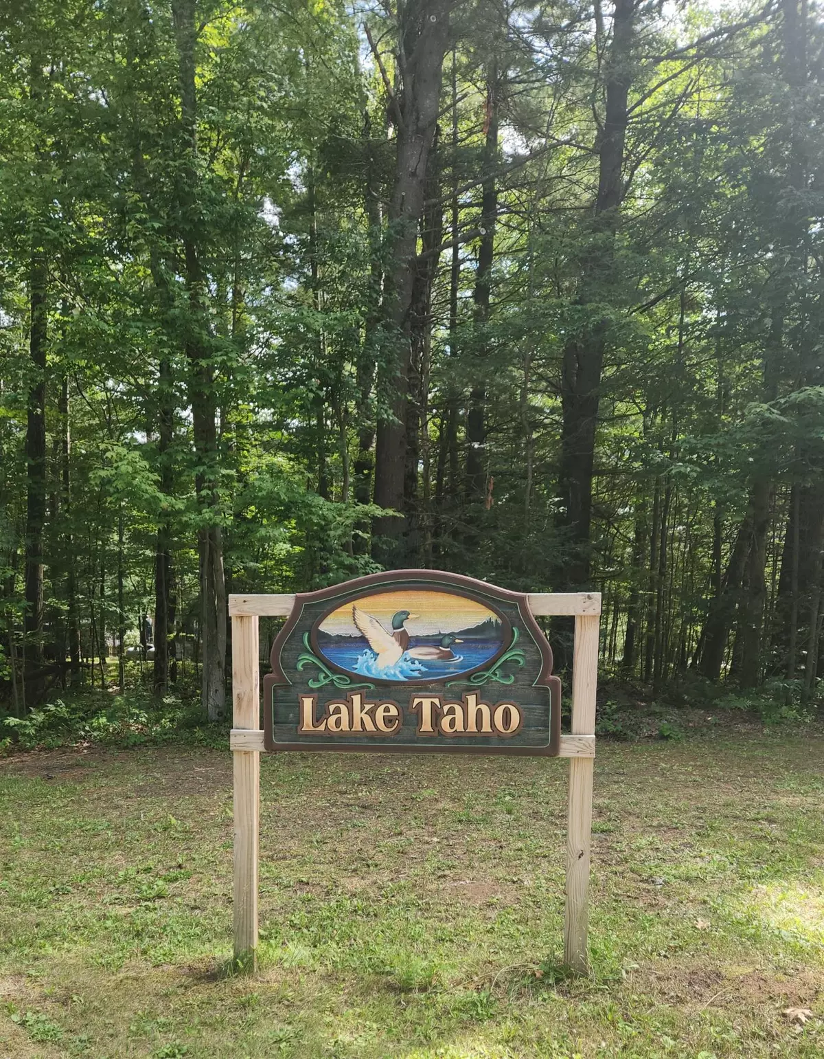 Lake, MI 48632,0 Lake Taho Trail