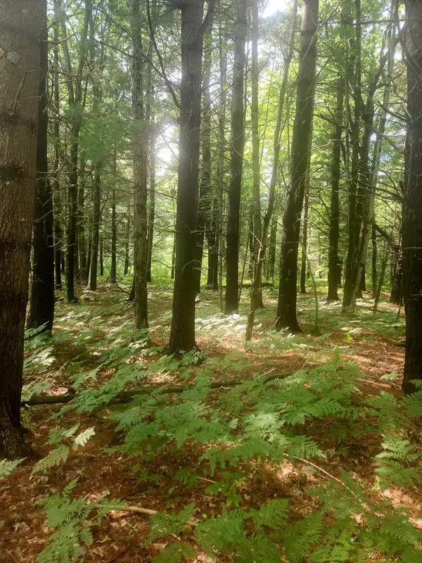 Lake, MI 48632,0 Lake Taho Trail