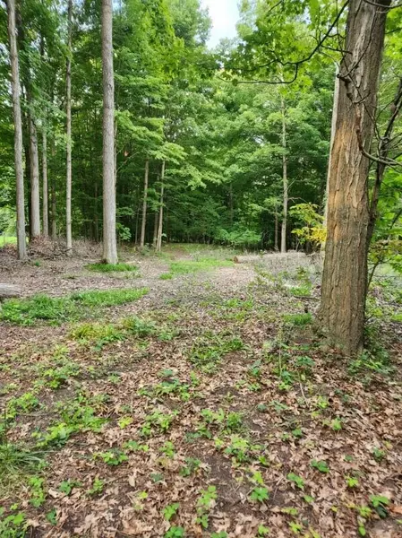 Lot 184 S E Shore Drive, Stanton, MI 48888