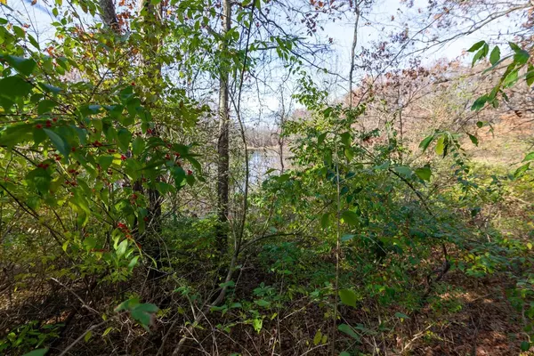 Dexter, MI 48130,0 Toma Road