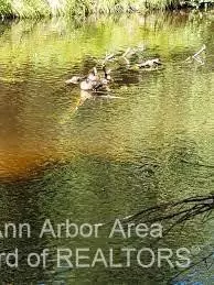 Indian River, MI 49749,3718 Victor Drive