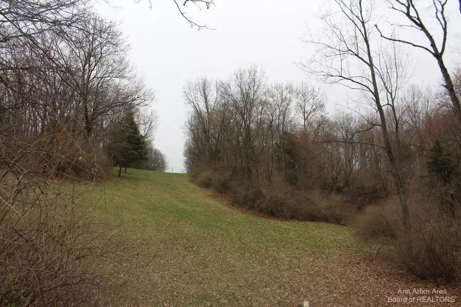 0 Stull Road, Grass Lake, MI 49240