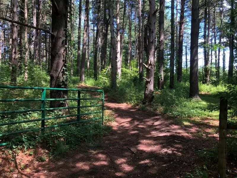 3300 Norvell Road, Grass Lake, MI 49240