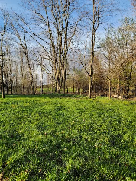 0 Gross Road, Dexter, MI 48130