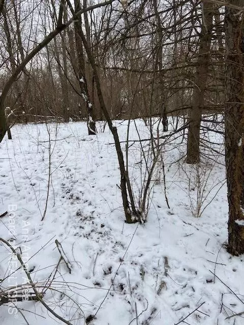 Manchester, MI 48158,0 Mahrle Rd