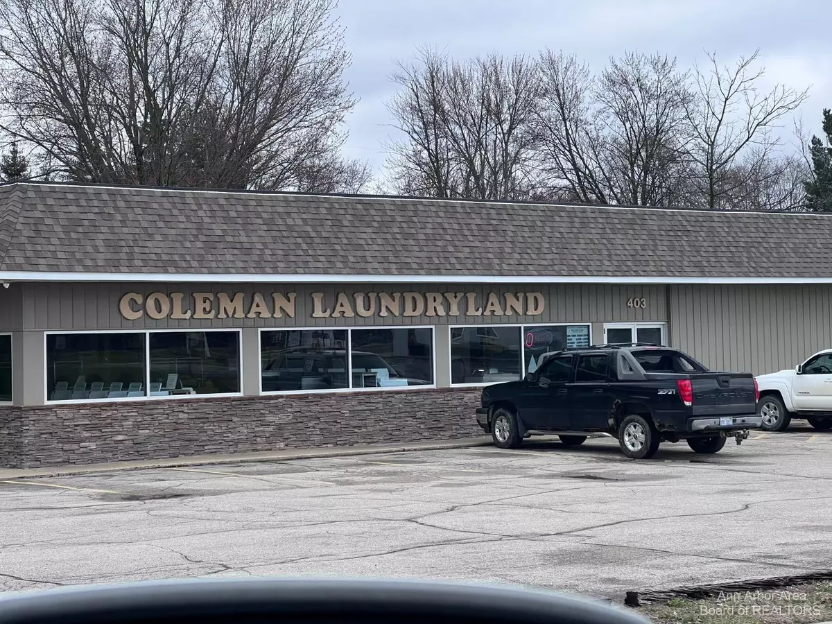 Coleman, MI 48618,403 E Washington Street