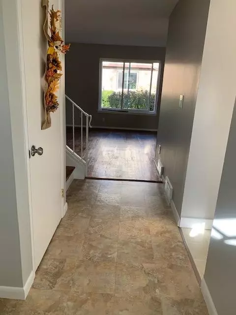 Ypsilanti, MI 48198,1011 Terrace Ln