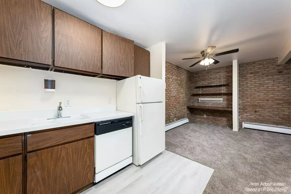 Ypsilanti, MI 48197,207 Ballard Street #101
