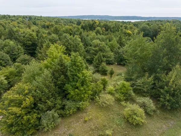 Onekama, MI 49675,LOT 25 Celestial Ridge Drive