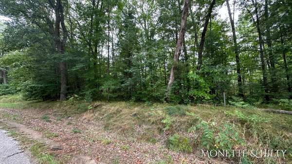 Twin Lake, MI 49457,0 E Michillinda Road #Parcel A