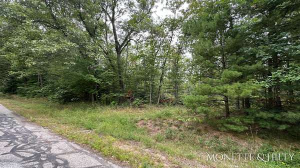 Twin Lake, MI 49457,0 E Michillinda Road #Parcel B