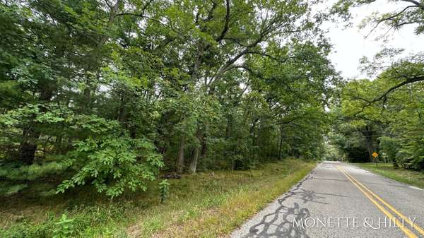 Twin Lake, MI 49457,0 E Michillinda Road #Parcel B