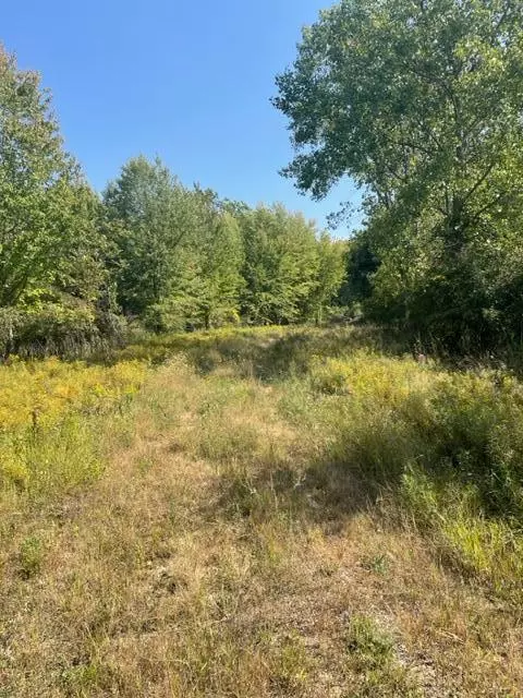Bangor, MI 49013,VL County Road 215