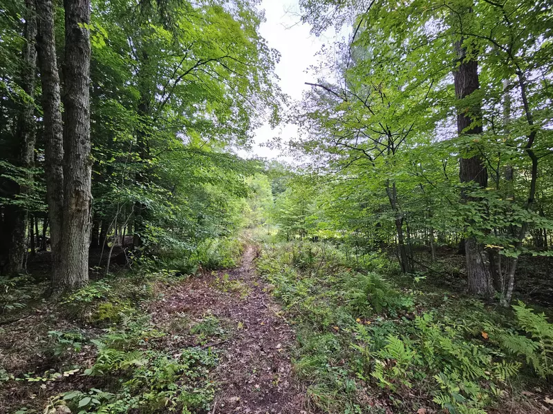 18174 Johnson Road, Stanwood, MI 49346