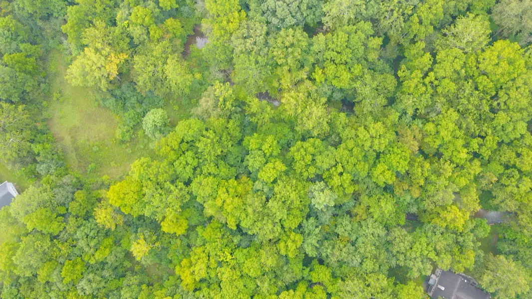 V/L W Garbow Road, Middleville, MI 49333