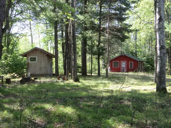 Frederic, MI 49733,10311 N Old 27