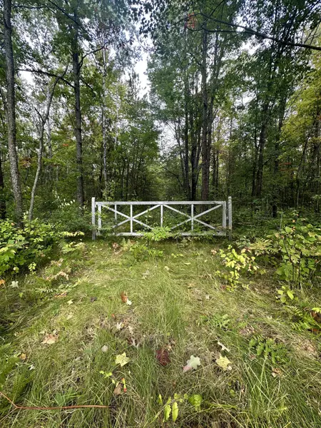 21594 Hoxeyville Road, Wellston, MI 49689