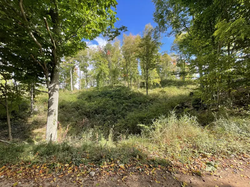 Warren, Hart, MI 49420