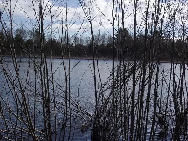 Kaleva, MI 49645,0-15271 Makinen Road