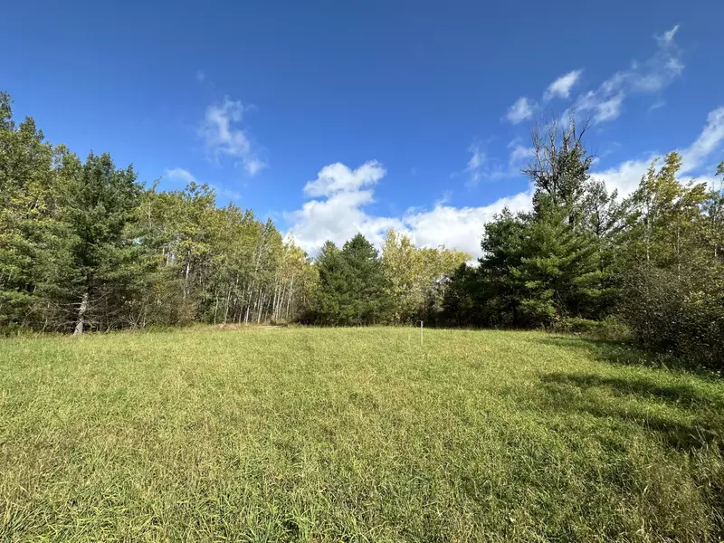 1795 N Cook Avenue, Harrison, MI 48625