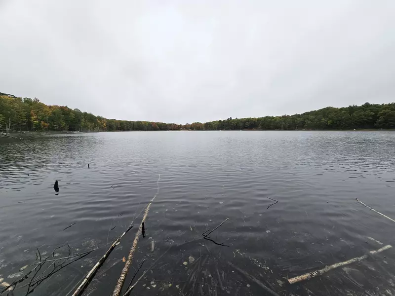 Lot 135 Apline, Reed City, MI 49677