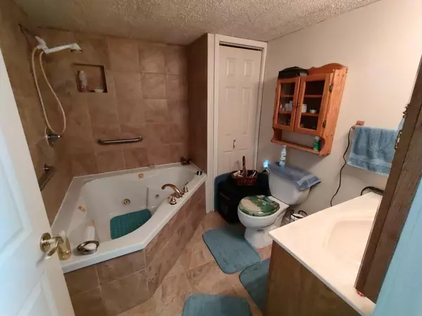 Lakeview, MI 48850,11730 Thrush Drive