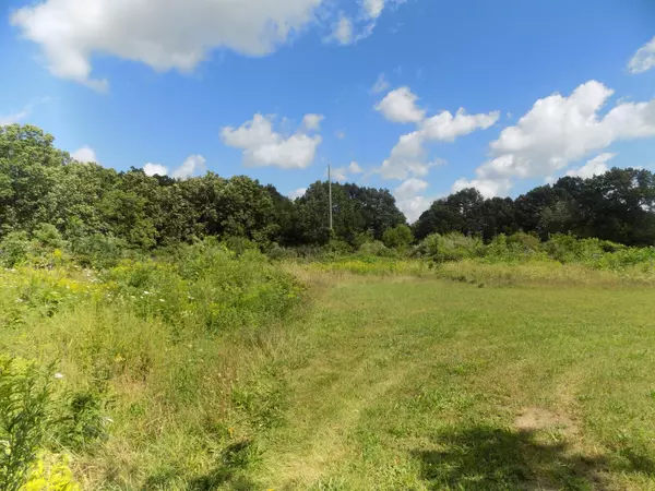 Coloma, MI 49038,0 Mountain Road