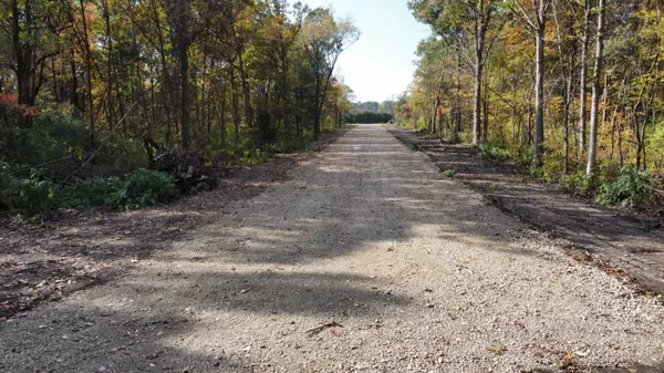 West Olive, MI 49460,Parcel 3-C 112th Ave